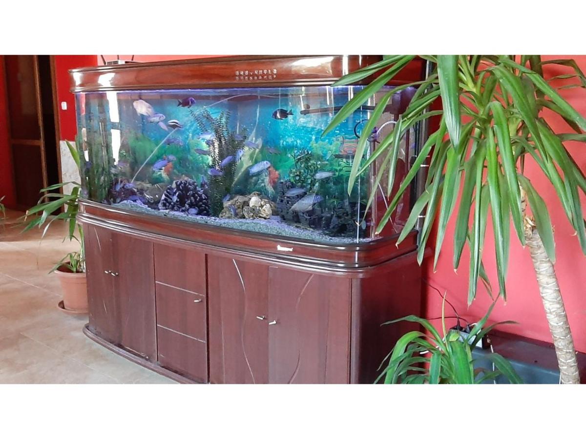 Family Hotel Favourite Obzor Bagian luar foto